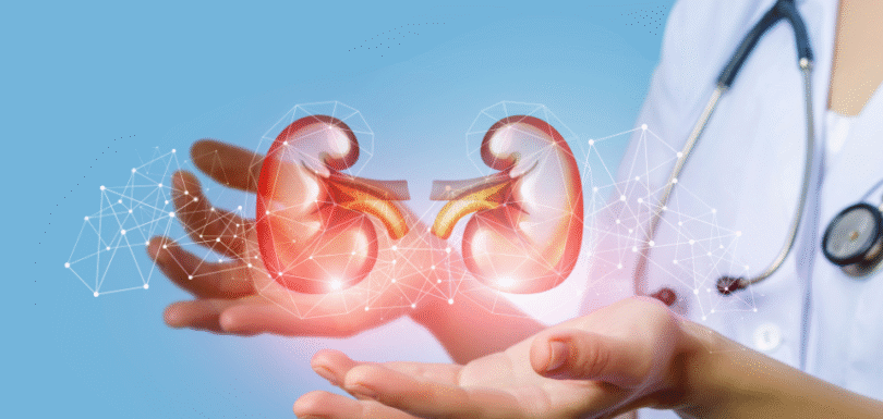 Common Symptoms of Kidney Issues and When to See a Doctor