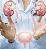 Urology Cancer Treatment in Delhi : What Makes It So Affordable and Trusted? | ILSS Hospital