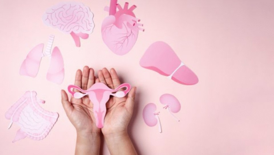 Untitled design - 2026-01-16T165744.397