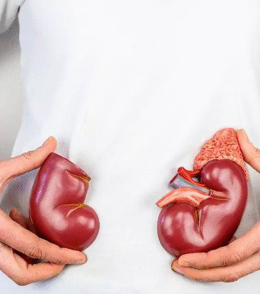 Untitled (1200 x 628 px) (11)