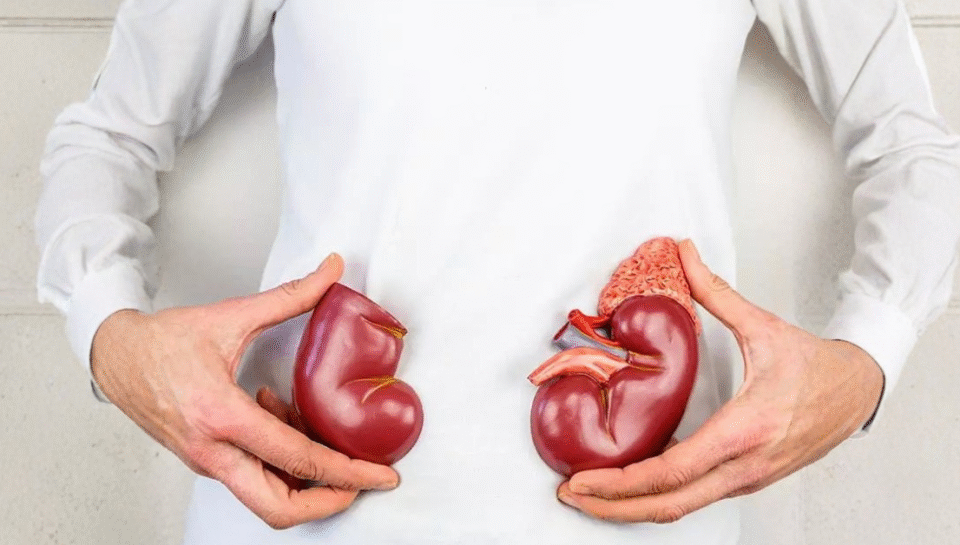 Untitled (1200 x 628 px) (11)