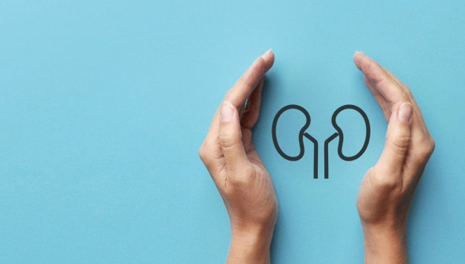 Untitled (1200 x 628 px) (14)